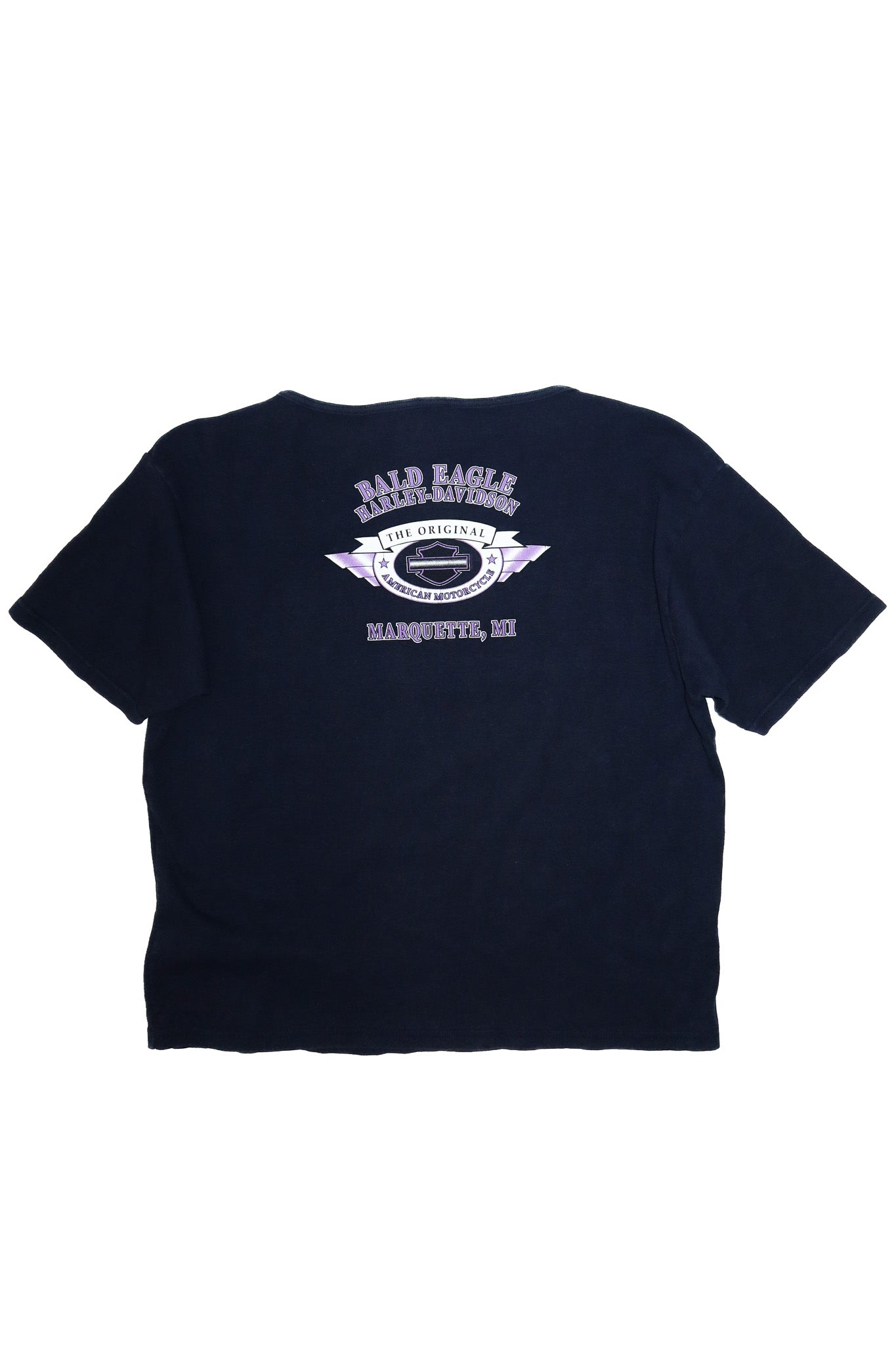 vintage harley davidson bald eagle graphic tee blue.